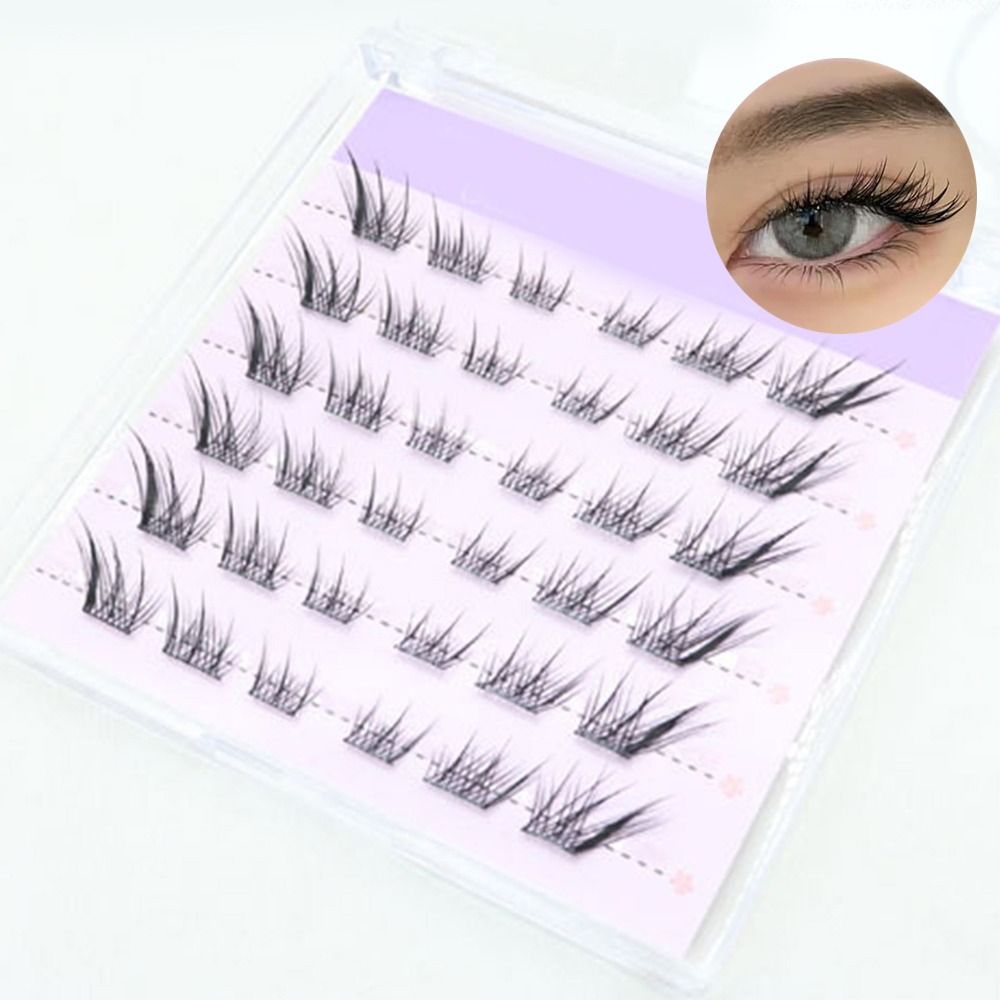Neue 3D Cat Eye Selbstklebende – Eyelash Extension Cat Eye Bewertung und Preis