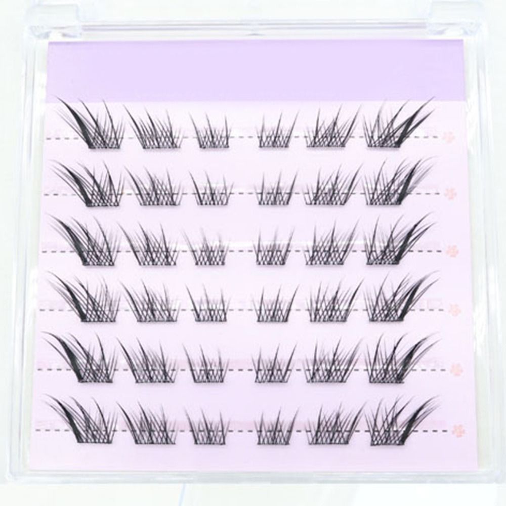 Neue 3D Cat Eye Selbstklebende – Eyelash Extension Cat Eye Bewertung und Preis