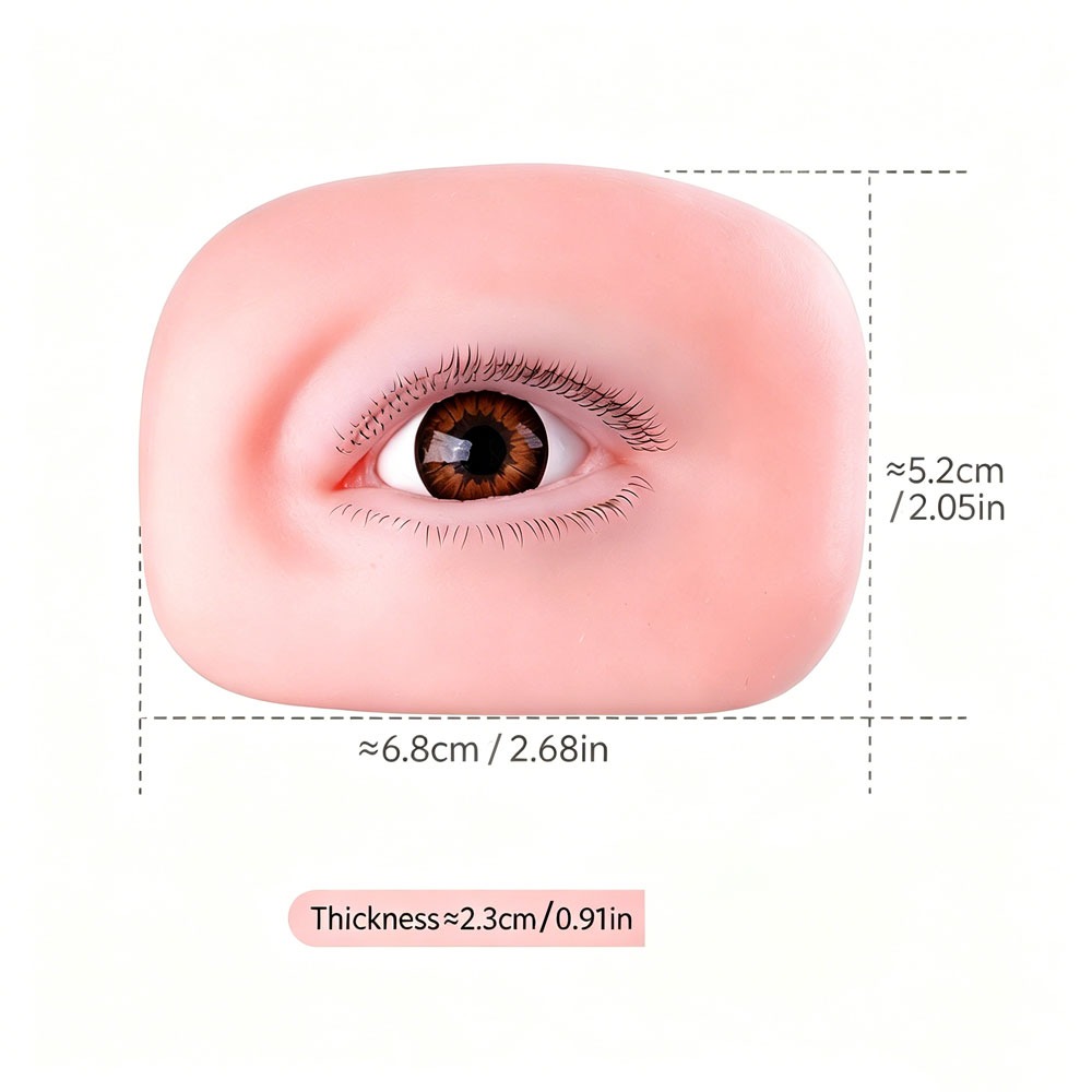 3-Schichtige Wiederverwendbare – Eyelash Extension Doll Eye Bewertung und Preis