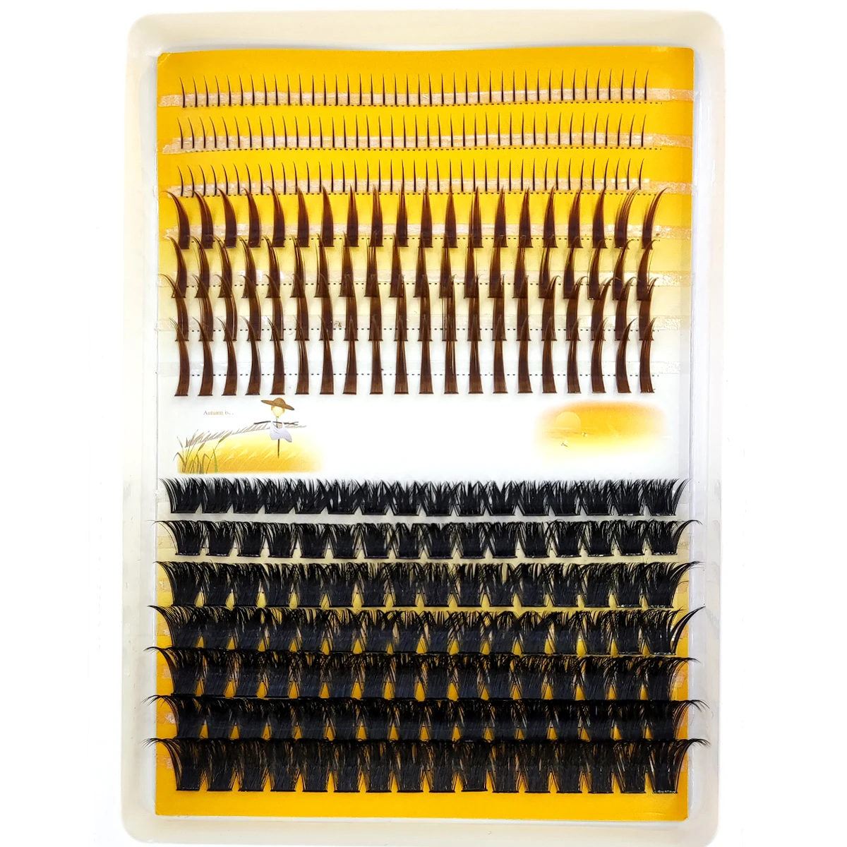 AMSDCN 60D-120D Wimperncluster – Eyelash Extension Doll Eye Bewertung und Preis